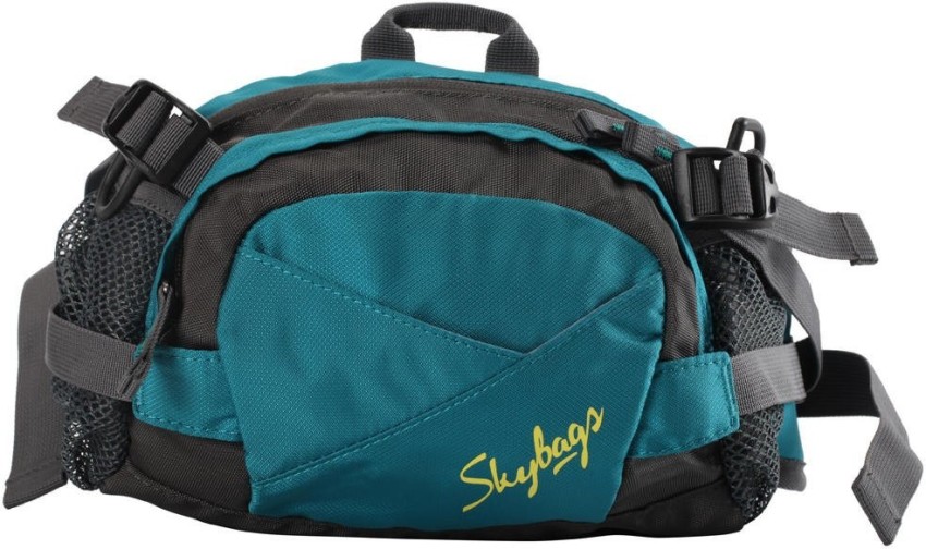 SKYBAGS Waist Bag Blue Price in India Flipkart