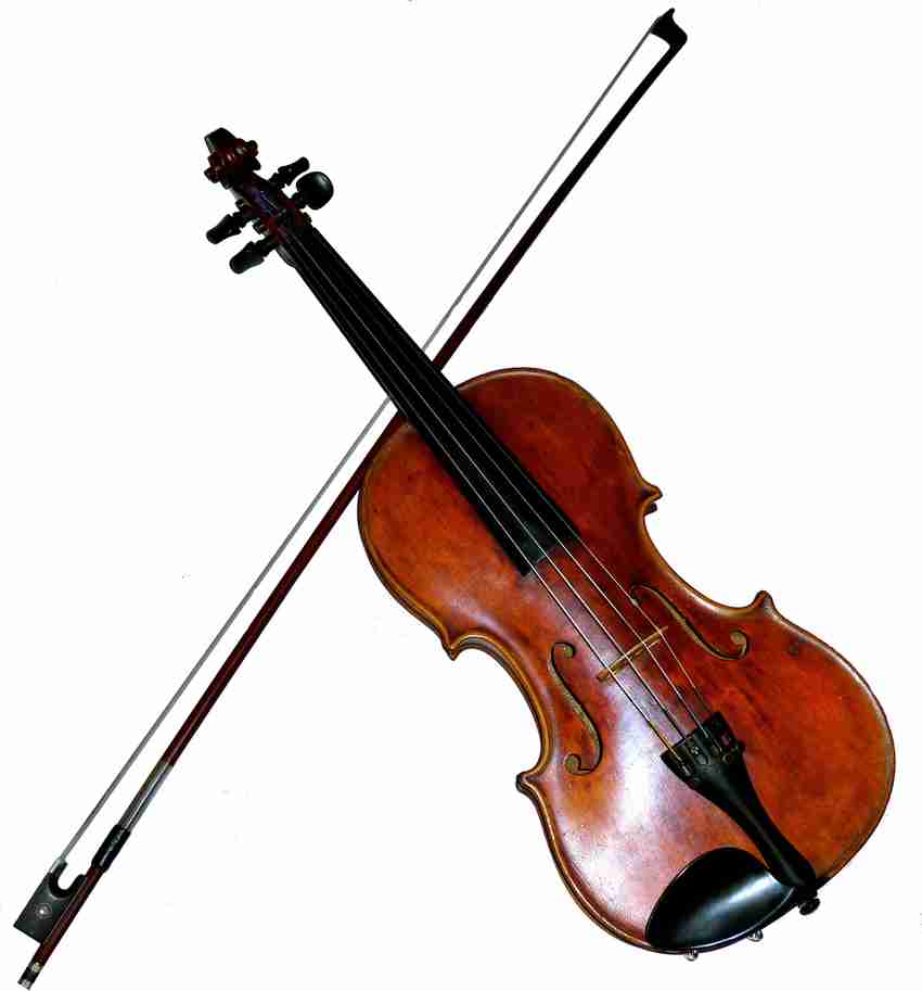 Violin in flipkart top