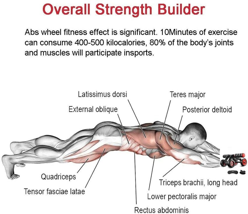 FLOSTRAIN AB Roller Exerciser for Abdominal Stomach Exercise