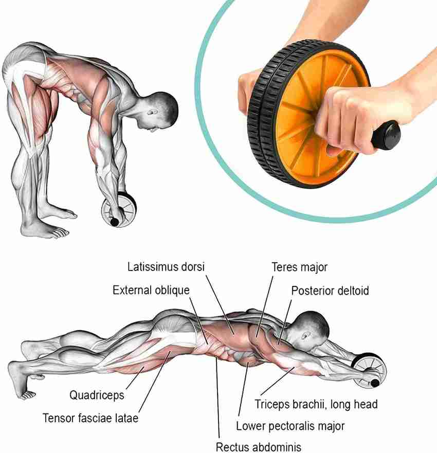 Manogyam Abdominal Double Wheel Ab Roller Gym For Exercise Fitness Equipment Workout Ab Exerciser Buy Manogyam Abdominal Double Wheel Ab Roller Gym For Exercise Fitness Equipment Workout Ab Exerciser ...