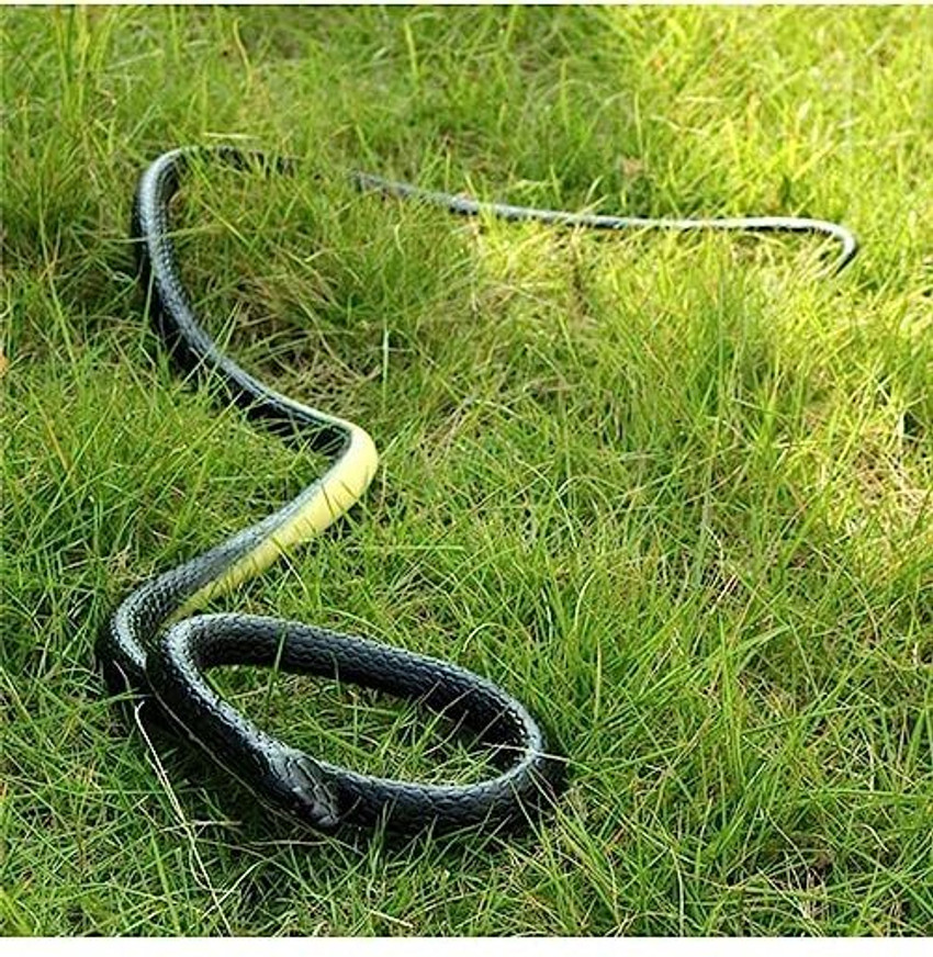 Ayush Traders Fake Snake Prank Realistic Fake Rubber Snake Fake