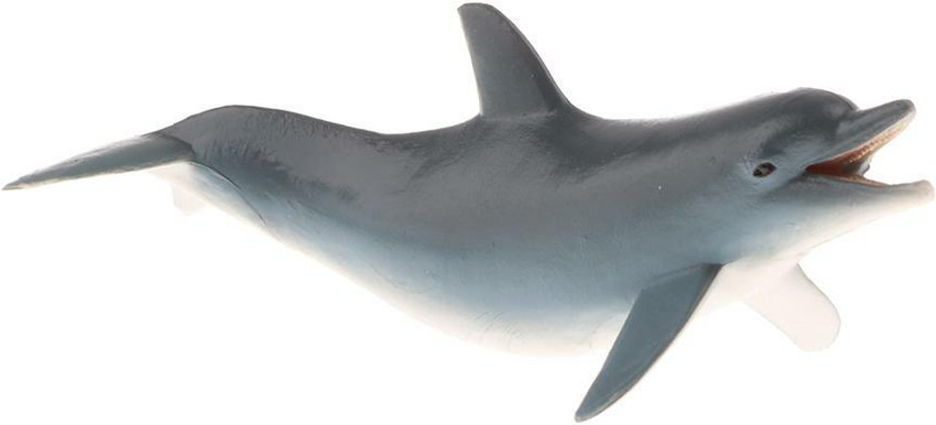 Action deals man dolphin