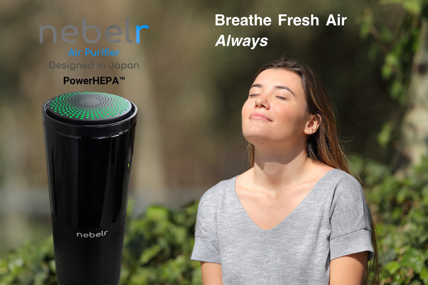 Nebelr air purifier cheap