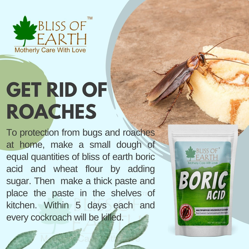Boric acid store powder and dogs