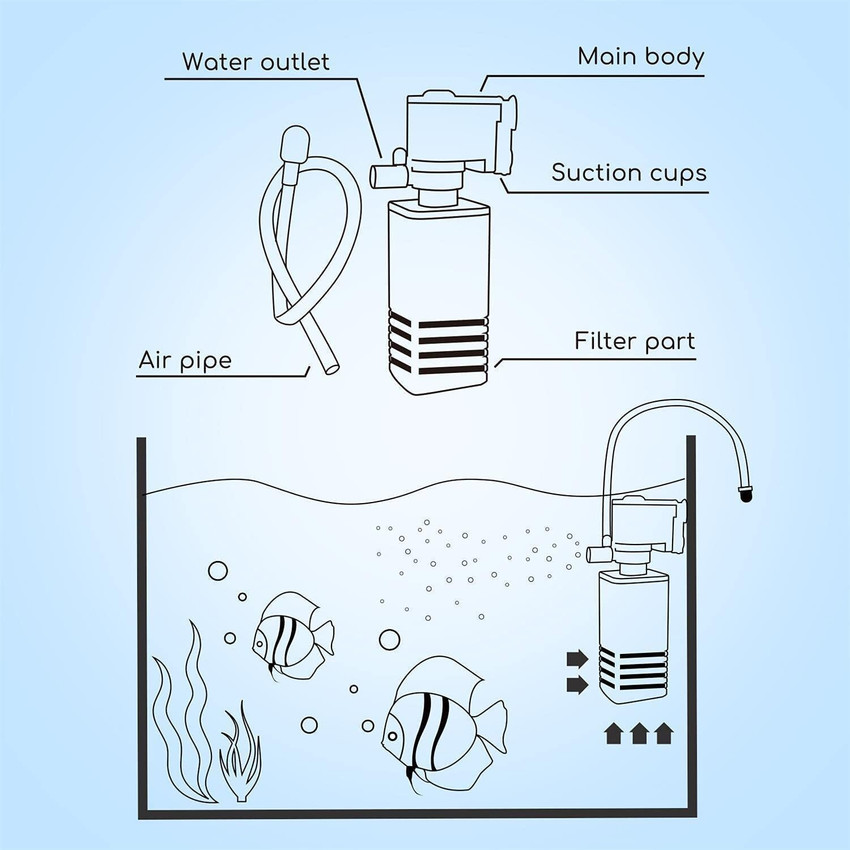 Aquarium sale pump setup