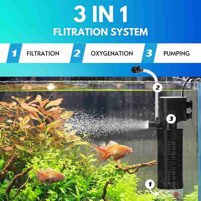 Fish pump and filter discount