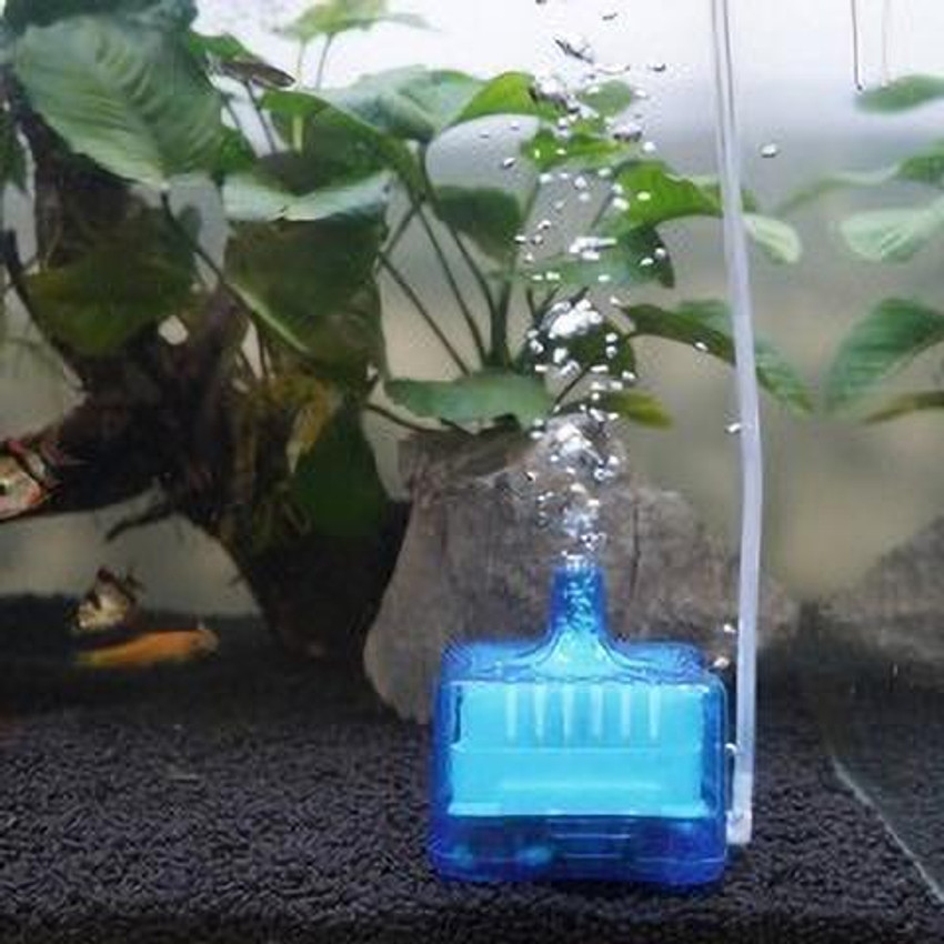 Airstone filter shop
