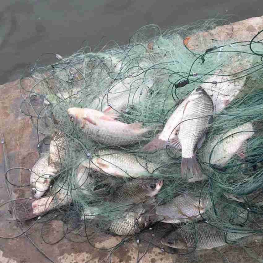Qpets 30m x 1.0m Fishing Net Single Layer Fishing Net with Lead Weighs  Undersea Aquarium Fish Net Price in India - Buy Qpets 30m x 1.0m Fishing Net  Single Layer Fishing Net