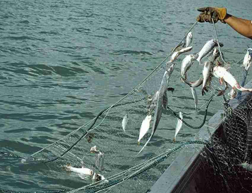 Barsha Fishing Nets 80mm SISHA JAL 4 FINGER GILLNET LEAD SINKER Aquarium  Fish Net