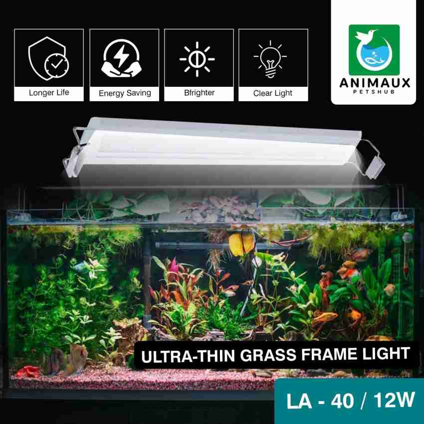 Animaux Multicolor Blue White LED Aquarium Light Price in India Buy Animaux Multicolor Blue White LED Aquarium Light online at Flipkart