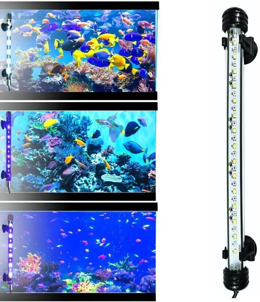 Aquarium accessories flipkart outlet