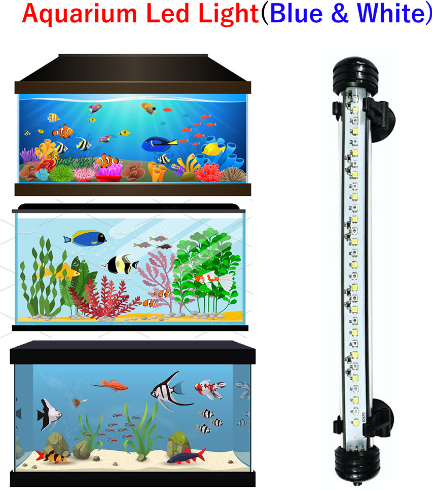 Aquarium lights online new arrivals