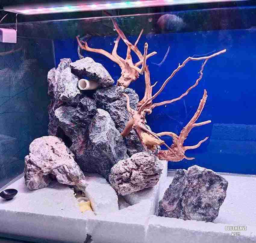 Aquarium hotsell plant anchors