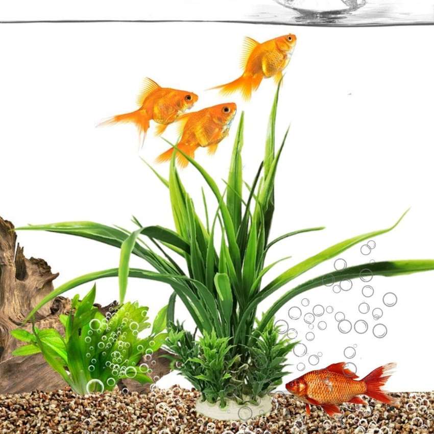 Aquarium accessories flipkart top