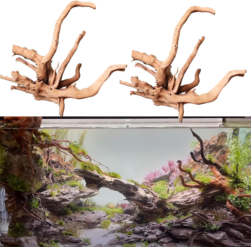 Jainsons Pet Products Driftwood Aquarium Natural Ornament Reptile