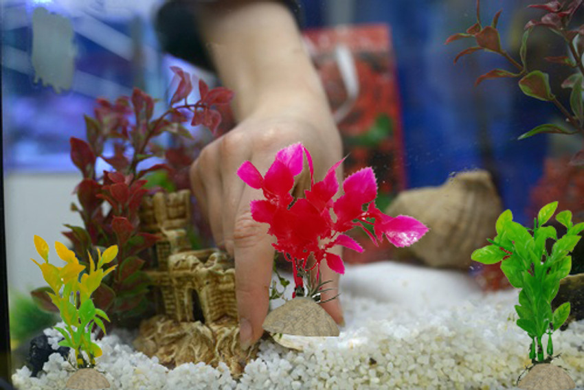 Fish tank home decor clearance