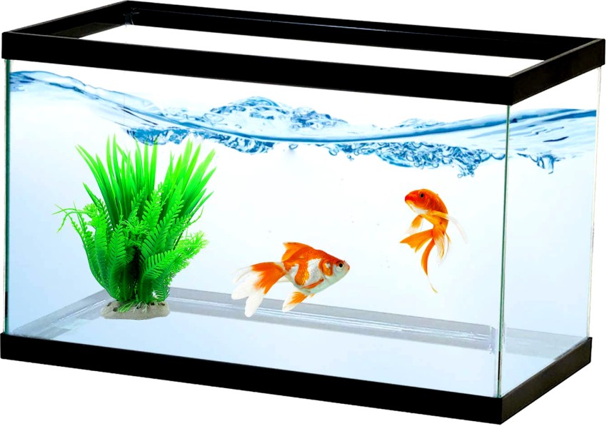 VAYINATO Plastic Artificial Fish for Aquarium Tank ( Set of 5