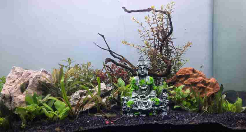Aquarium plant anchors shop