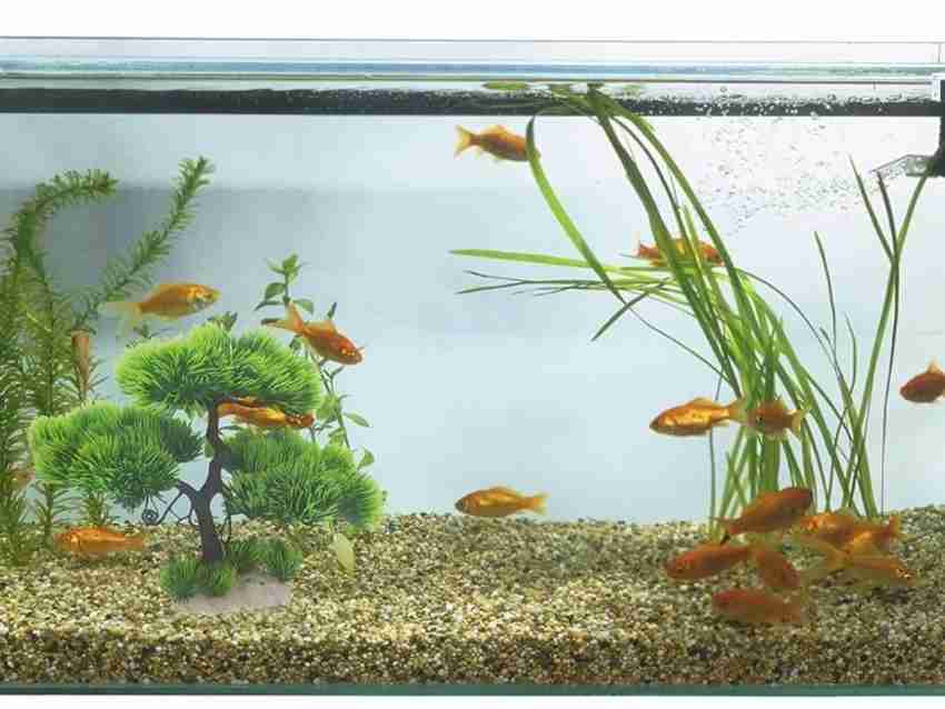 Mistletoe Artificial Plastic Bonsai Fish Tank aquarium accessories Aquarium Plant Anchor Price in India Buy Mistletoe Artificial Plastic Bonsai Fish Tank aquarium accessories Aquarium Plant Anchor onl...