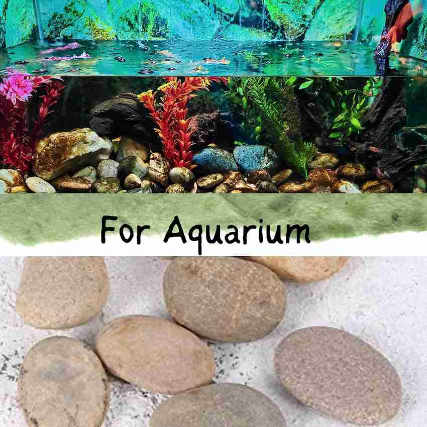 Large aquarium best sale rocks