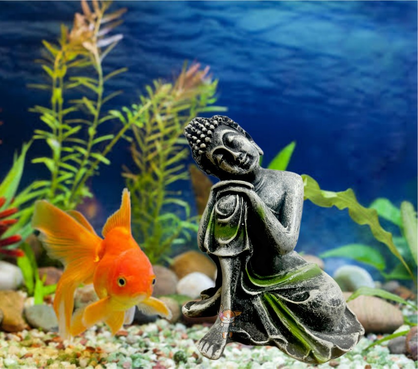 Mistletoe Handcrafted Thinking Buddha Statue Aquarium Pond Fountains Water or Fish Tank Laterite Unplanted Substrate Price in India Buy Mistletoe Handcrafted Thinking Buddha Statue Aquarium Pond Fount...