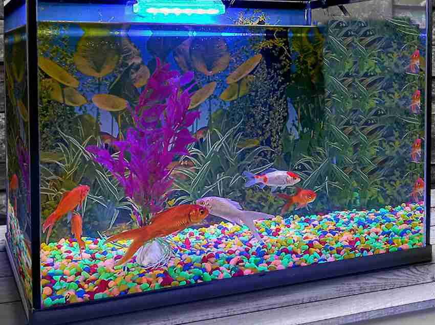Glass Betta Fish Bowl Tank Décor Fluorescent Stones Colorful Plastic Trees  2 Gal 