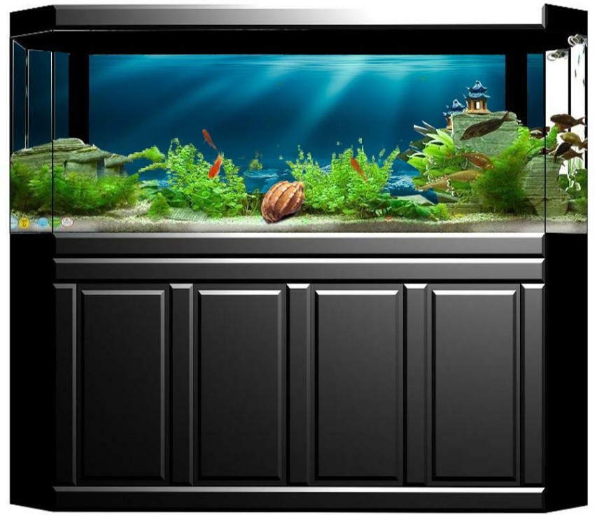 Easiest way to create a 3D background for aquarium : r/Aquariums