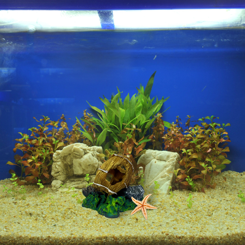 Foodie Puppies Natural Looking Drum Mania Aquarium Decoration