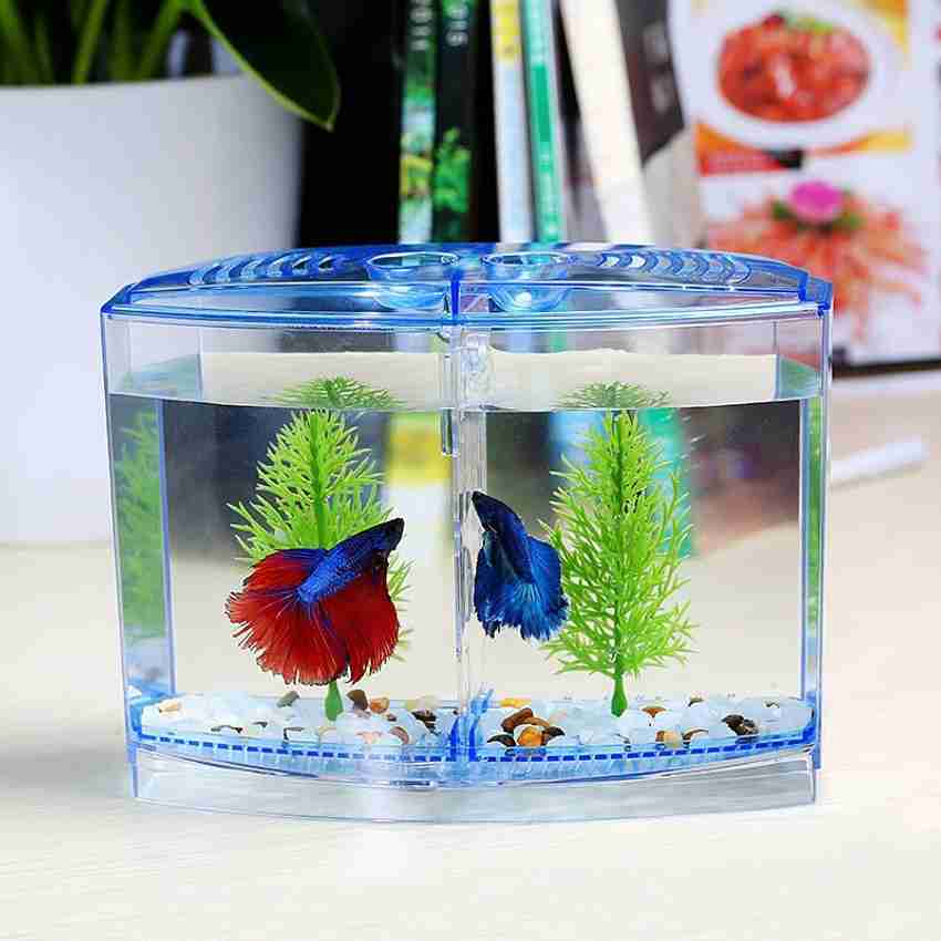 Mini Fish Bowls Petzlifeworld Double House Betta Tank Small Fish