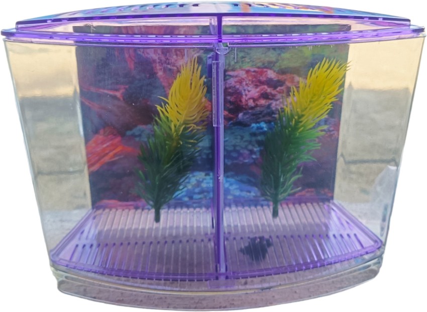 RPM 8 Inches Betta Mini Fish Tank Purple Rectangle Aquarium Tank Price in India Buy RPM 8 Inches Betta Mini Fish Tank Purple Rectangle Aquarium Tank online at Flipkart