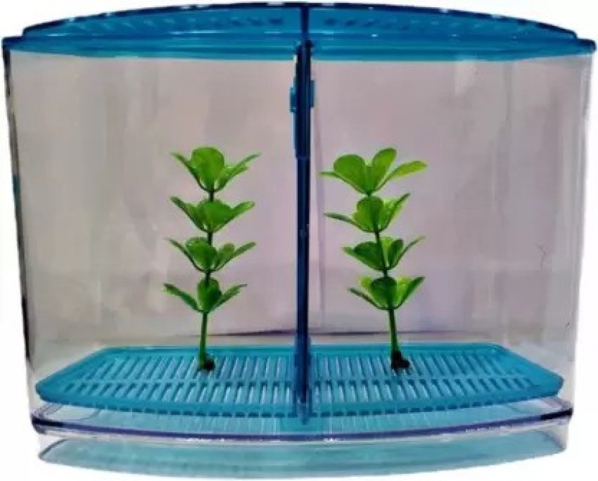 Petzlifeworld Double House Betta Tank Small Fish Tank for Fighter Fish  Rectangle Aquarium Tank