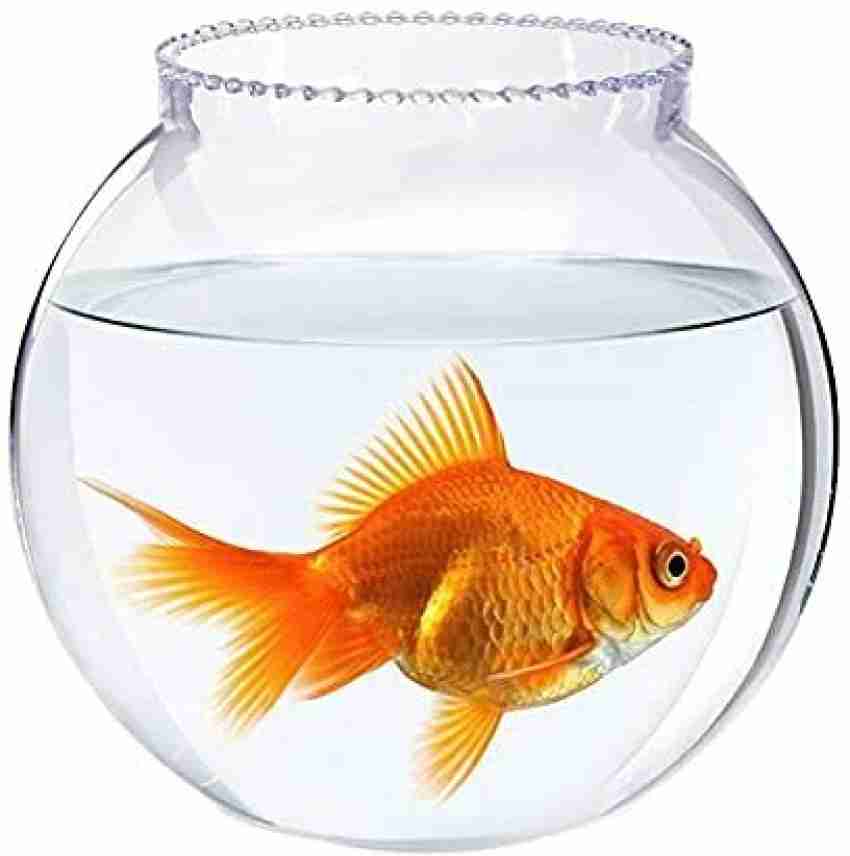 Artifice small 6 inch aquarium fish bowl vase for home