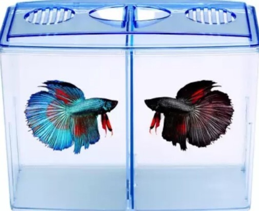 Animaux Double House Betta Tank Small Fish Tank for Fighter Fish Rectangle  Aquarium Tank