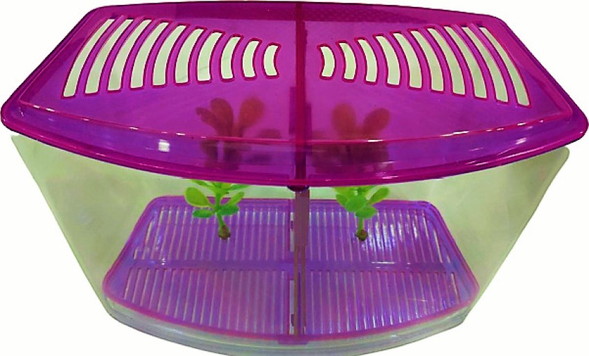 Taiyo Plastic Betta Tank (Double) for Fish : : Pet Supplies