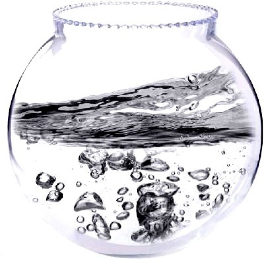 SAVORADE Glass Fish Tank for Small Betta Fish & Plants tank_0010i(10 INCH)  Round Ends Aquarium Tank