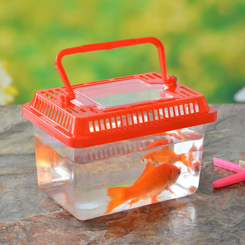 Miniature plastic fish clearance