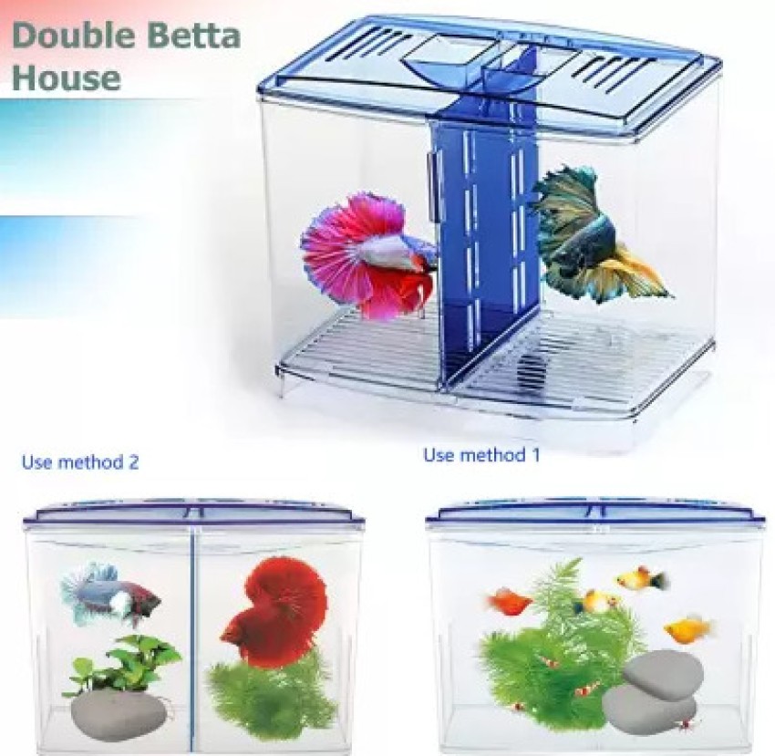 Petzlifeworld Double House Betta Tank Small Fish Tank for Fighter Fish  Rectangle Aquarium Tank