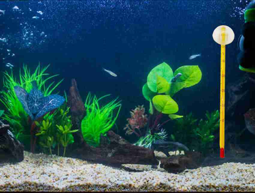 Taiyo Pluss Discovery Aquarium Glass Thermometer/Fish Tank SUBMERISIBLE  Glass Thermometer/with Suction Cup (11CM) - Pack of 2 Aquarium Thermometer  Price in India - Buy Taiyo Pluss Discovery Aquarium Glass Thermometer/Fish  Tank SUBMERISIBLE
