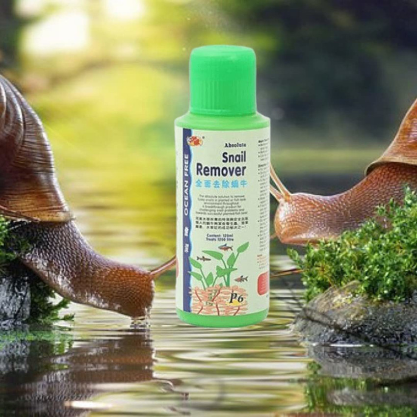 Snail remover for aquariums outlet