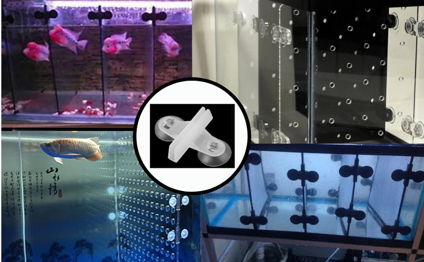 Aquarium partition online