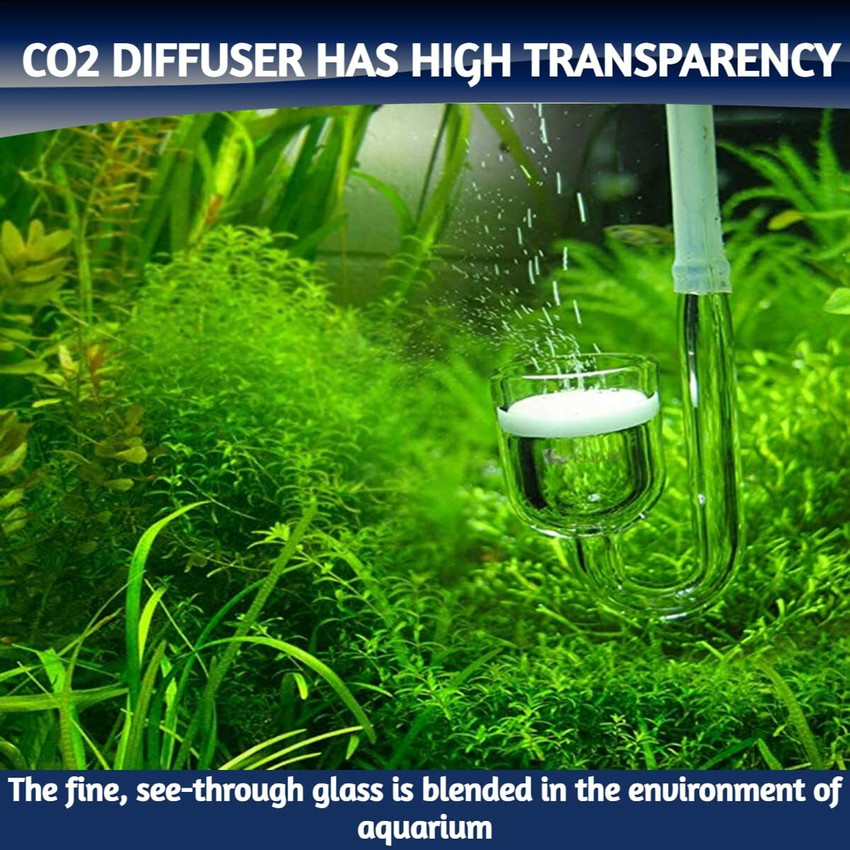 Co2 fish tank online