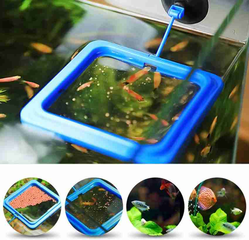 Aquarium fish feeding ring outlet