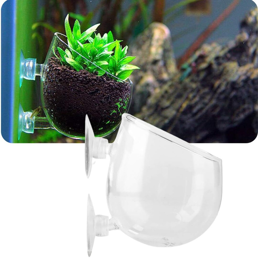 VAYINATO Polka Plant Pot for Aquarium Fish Tank Crystal Clear Glass Pot Suction Cup Aquarium Tool Price in India Buy VAYINATO Polka Plant Pot for Aquarium Fish Tank