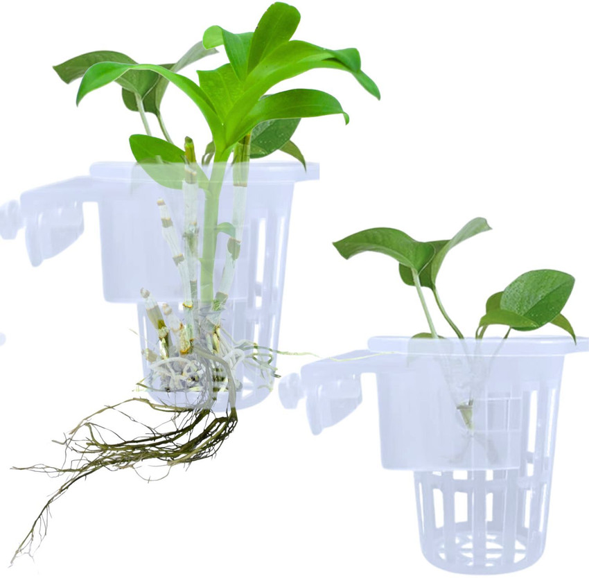 Fish tank plant holders online