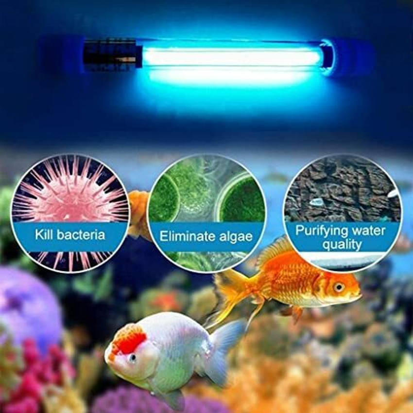 Uv light shop for aquarium