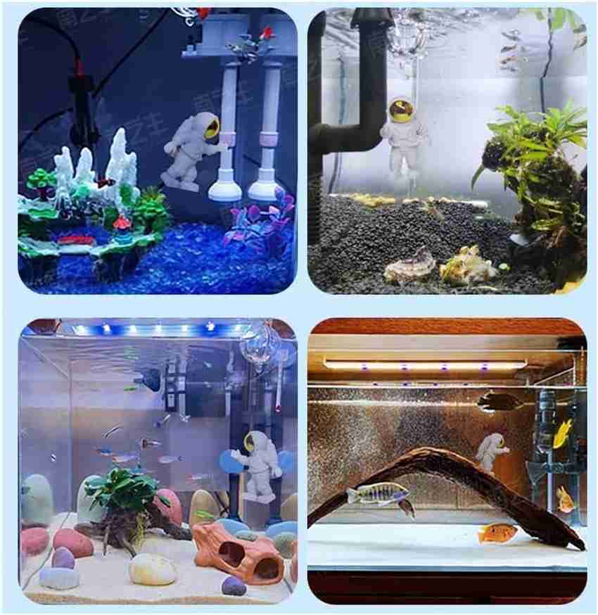 Cute fish tanks best sale