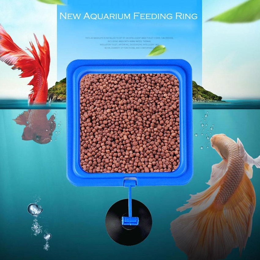 Aquarium fish feeding ring 2025