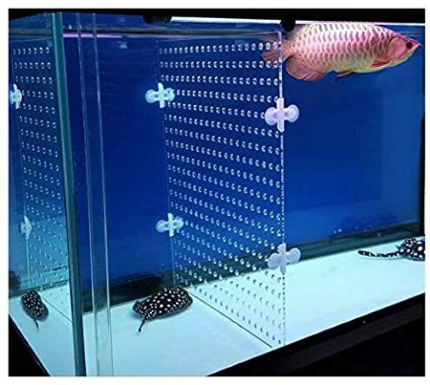 VAYINATO Boyu BT-02 Glass Thermometer For Aquarium Fish Tank Aquarium Tool  Price in India - Buy VAYINATO Boyu BT-02 Glass Thermometer For Aquarium  Fish Tank Aquarium Tool online at