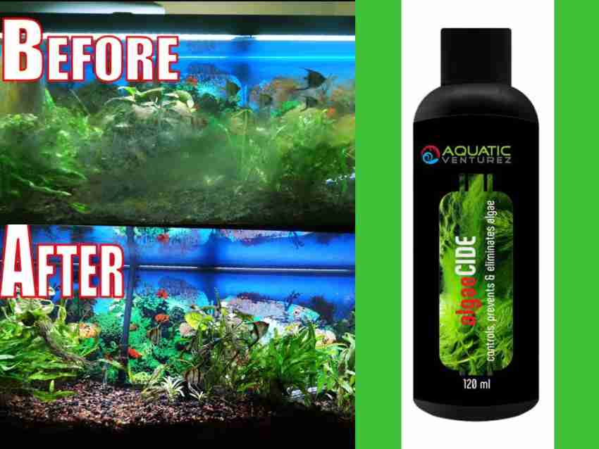 Aquarium algaecide hotsell