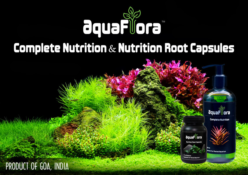 Cheap aquarium plant fertilizer sale